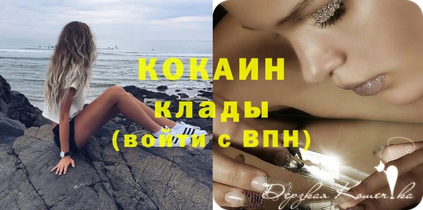 mdpv Елизово