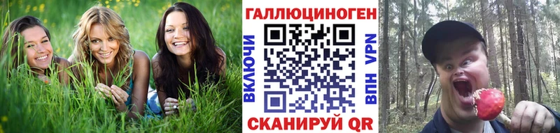 Псилоцибиновые грибы Cubensis Невель